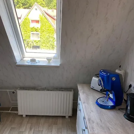 Lägenhet Meilerplatz - Familienfreundliche Fuer Max. 4 Personen In Am Harz