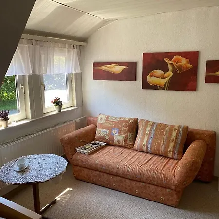 Meilerplatz – Familienfreundliche Für Max. 4 Personen In Am Harz Apartment Bad Lauterberg im Harz